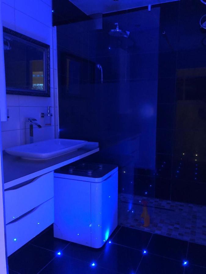 קרלסרוהה Blau Wohnung מראה חיצוני תמונה